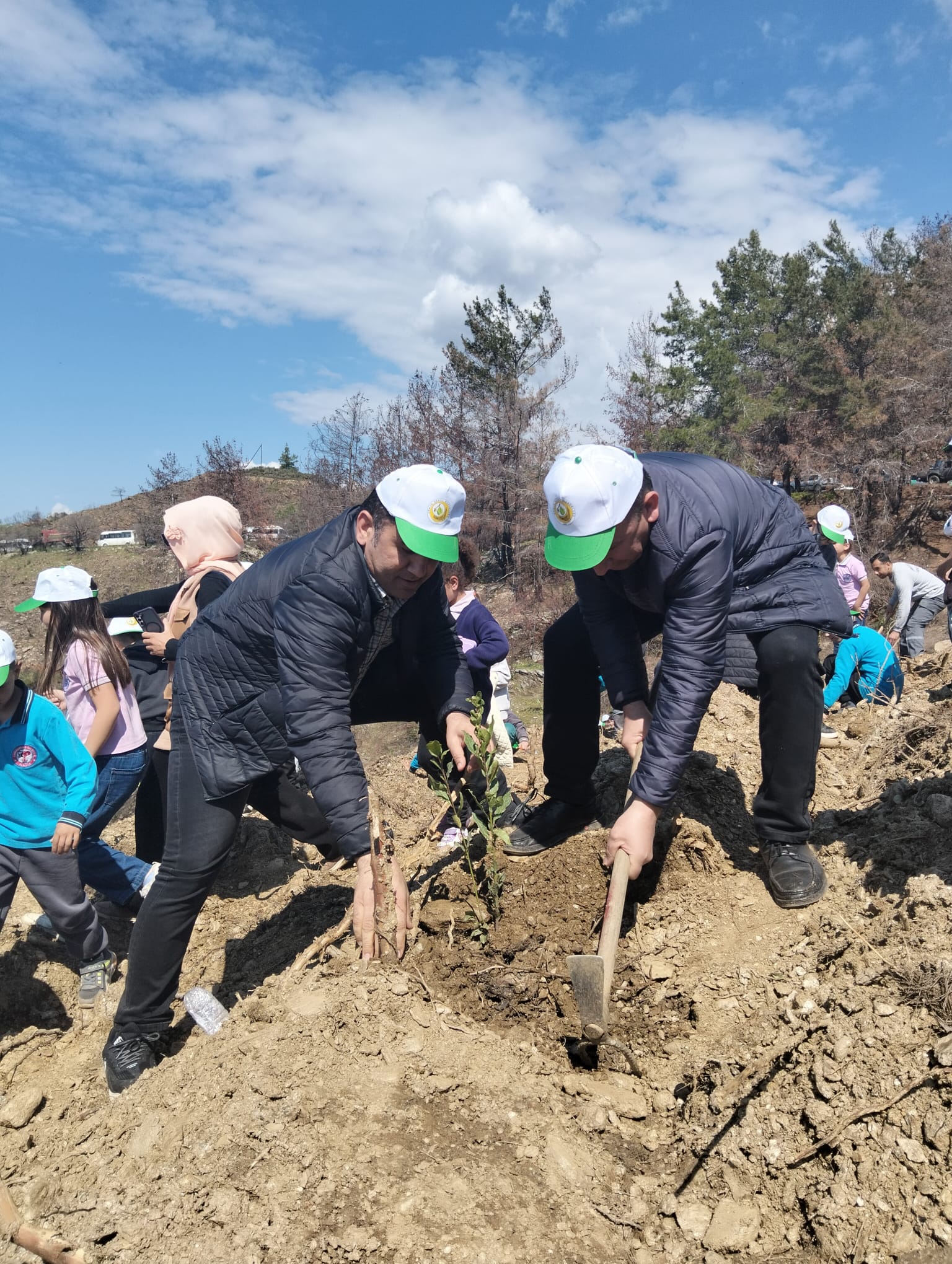 🌲 Orman Haftası Fidan Dikim Etkinliği